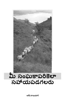 మీ సంఘకాపరికి ఎలా సహాయపడగలరు